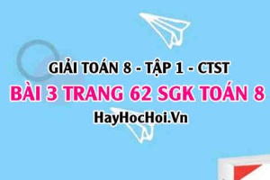 Giải bài 3 trang 62 Toán 8 Tập 1 SGK Chân trời sáng tạo